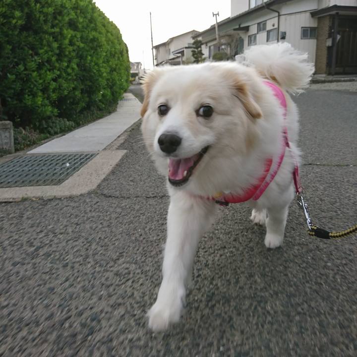 B080df5f 9a99 4e96 898f d4d1f6feee66 1522793891487