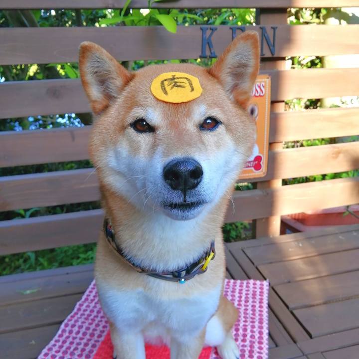 B08101b5 1d90 4549 b7b8 d4a9d210c9e7 1653810772576