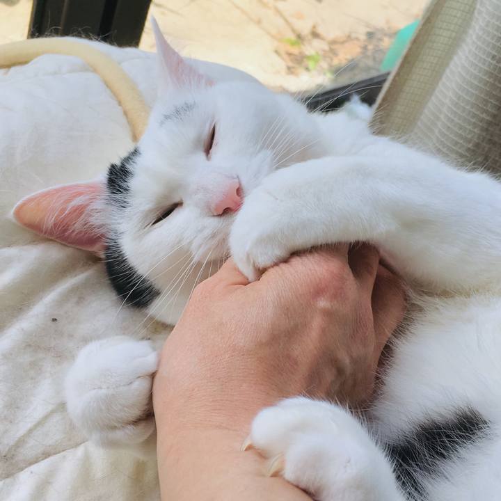 B08114af fe69 4058 9475 e4e89a666517 1562122839342