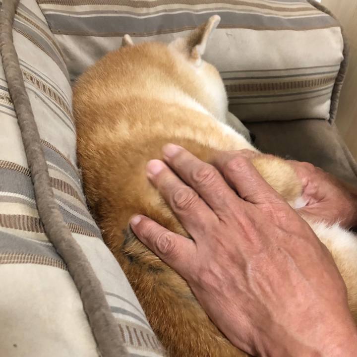 B08127ba c224 41a6 87a3 361aee047b98 1540013050495