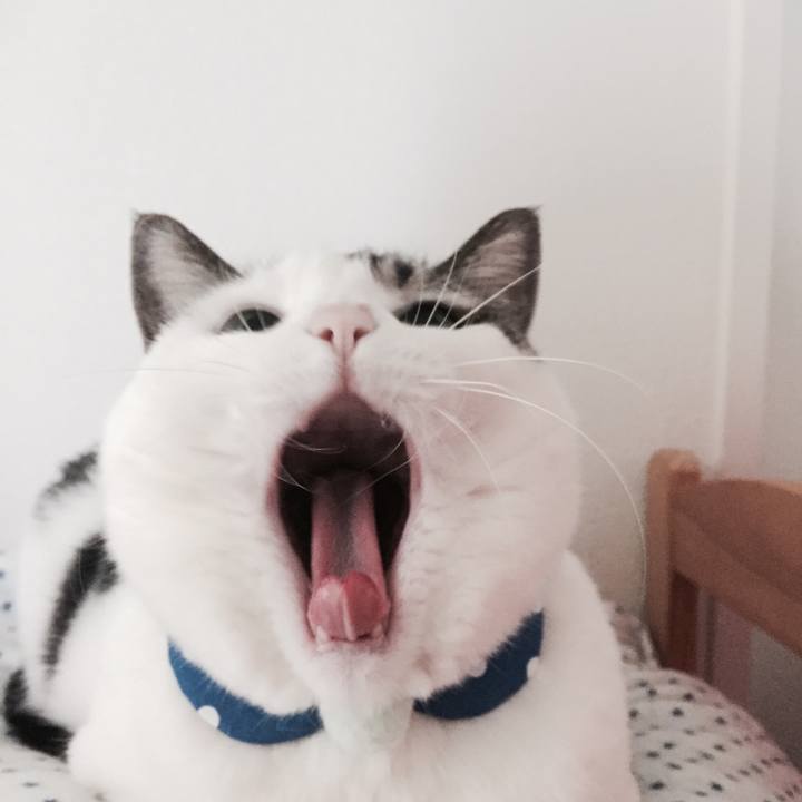 B081670c 226a 4ae3 adbd c269b429e5d6 1525255995436