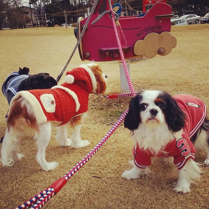 B0819871 3890 48fb b036 d6fff7db39c9 1582095362361