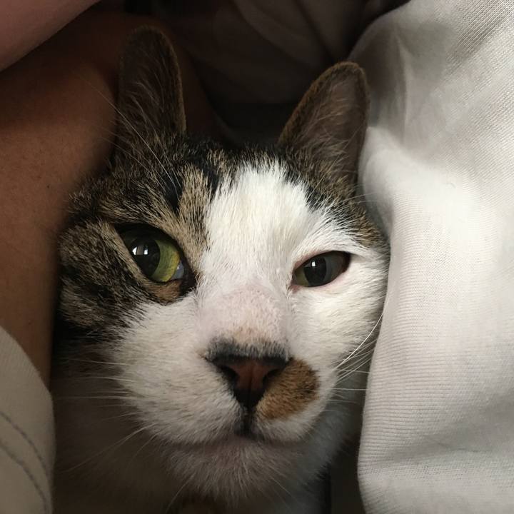 B081a50b 3679 4b26 8af5 08c5bf1fb5be 1527818288324