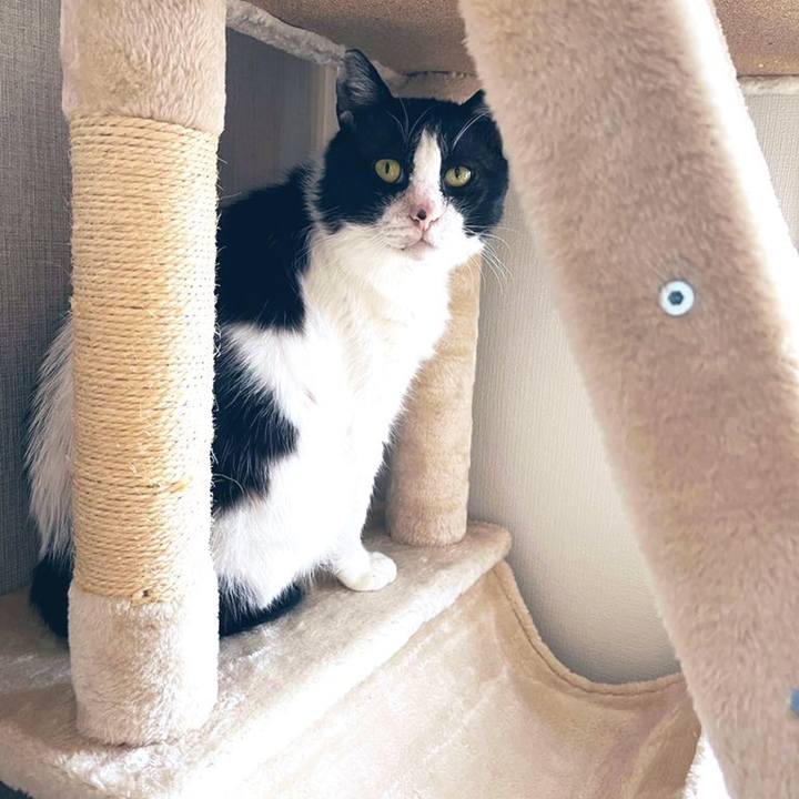 B081b828 8aa4 47a6 9b7a 2e2c9aa1dfae 1654906263700