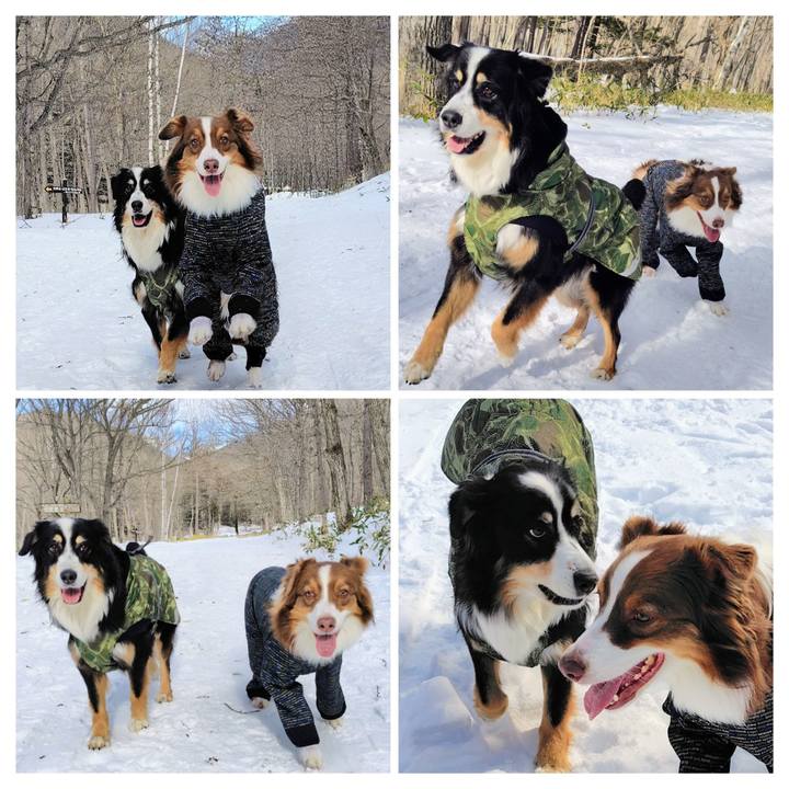 B0822d5e 3e8d 4963 ab64 4b32dc27f8bd 1768216364648