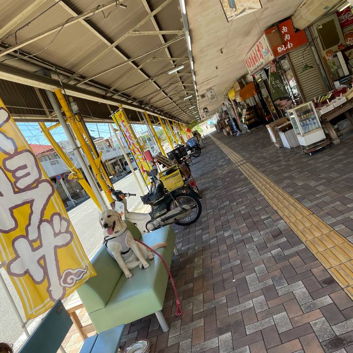 B0828768 d860 40c1 a5f2 9663097232c9 1628154088077