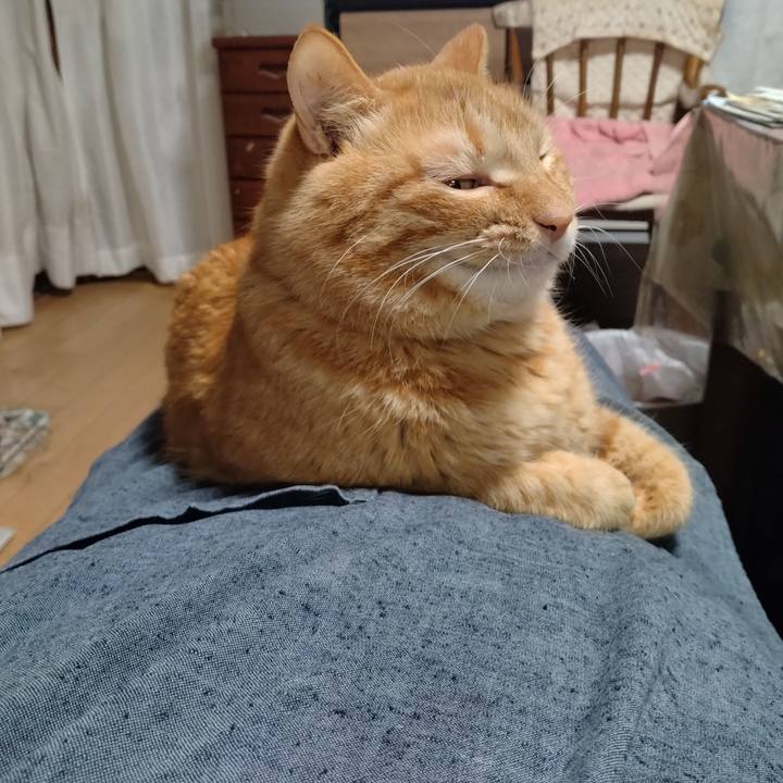 B082982d 4cca 4256 b220 c46cd6110671 1707825715574