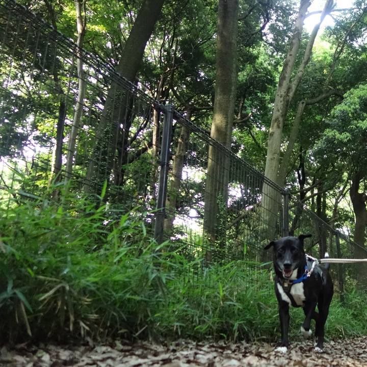 B082a282 0180 4007 9554 7ed958562bd5 1653006205616