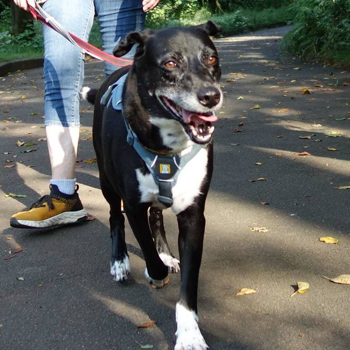 B082db36 d20c 416c 8d1a a6e995ea9322 1726618391256