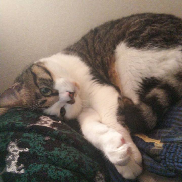 B082de19 bb60 4c19 aa0d 18130ae6e679 1659336836747