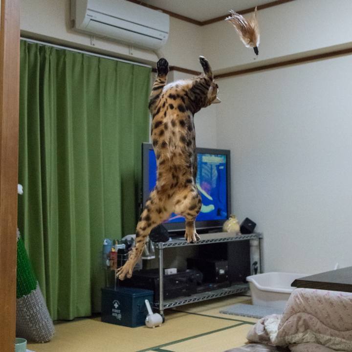 B082ea5e 0099 43d6 815c 6a62018a7b27 1518272426633