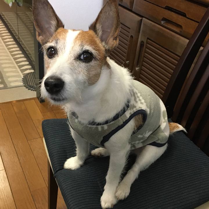 B082ff43 cdc3 4738 9e74 4ddbe88159d7 1649978910201