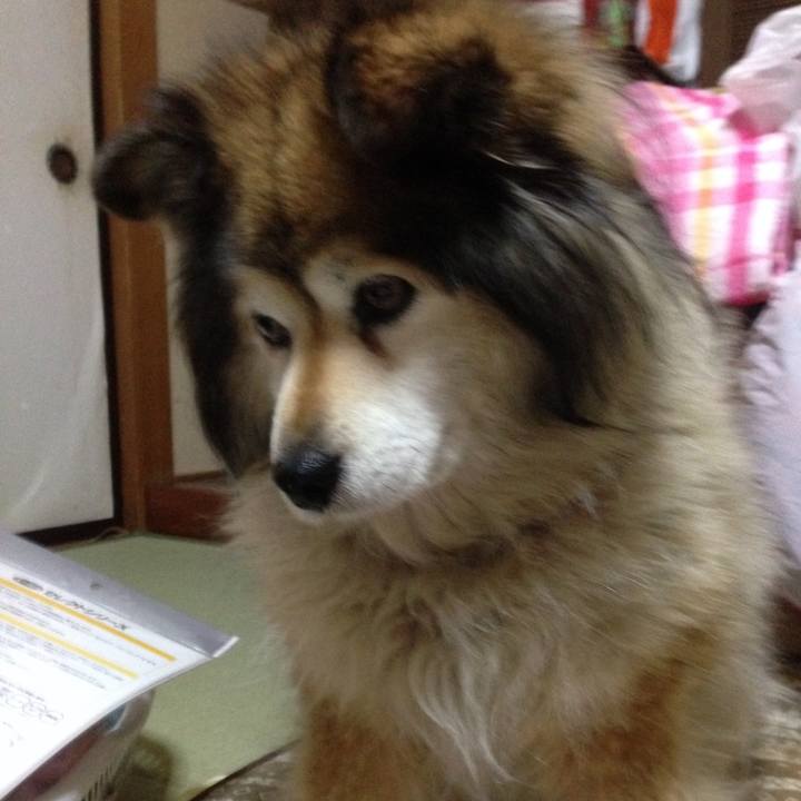 B0837926 f6c0 4ed0 8708 d5f13cb66395 1598753220902