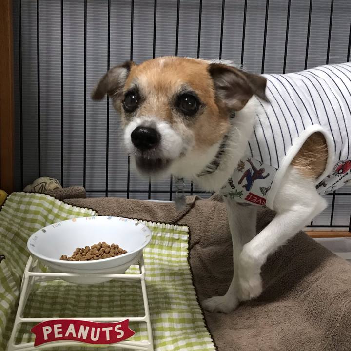 B08388c8 7166 49d9 938f c97e36f32ccd 1570574703243