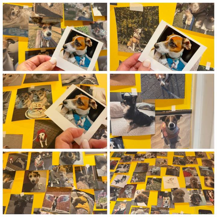 B08391da 4600 4d6c 99be 6d8509637212 1774913251817