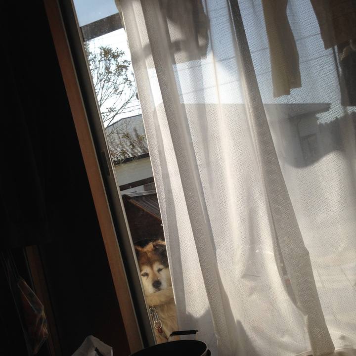 B083d540 aab7 4275 9f3f 86e0d6a4d57c 1565586191020