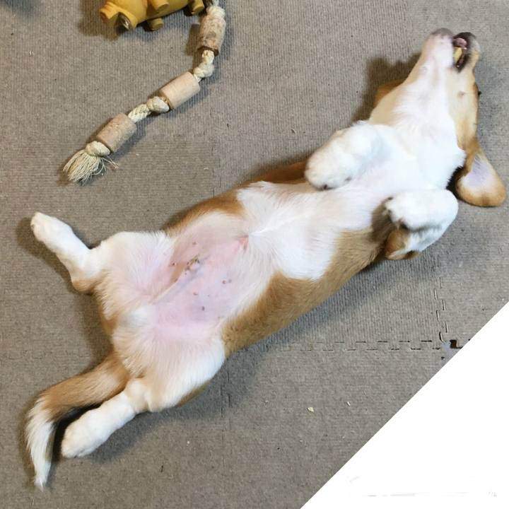 B083e63f 421d 47a8 b429 baeec86727df 1592955316917