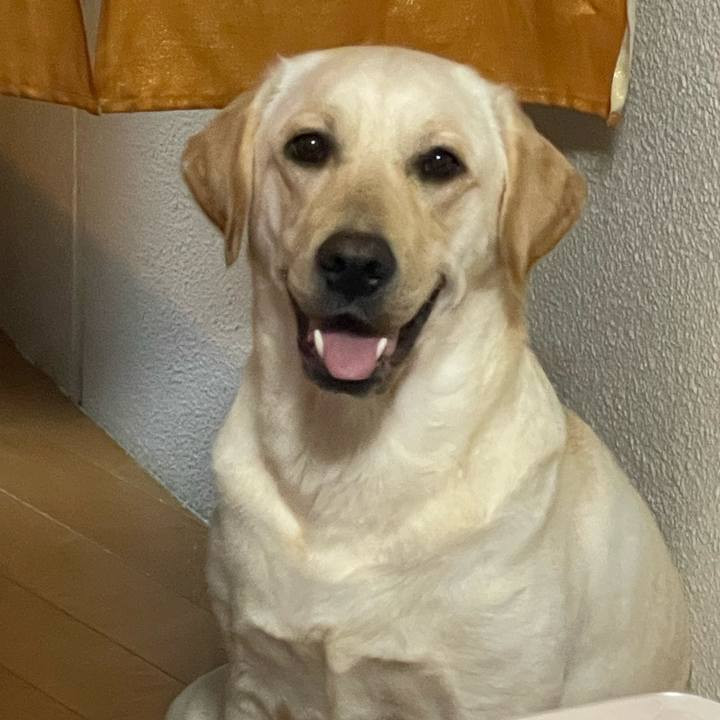 B083f734 5aee 47c0 8525 0d3e4caa2f6b 1657232326602