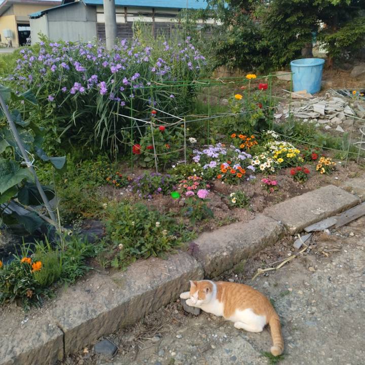 B083fd90 cc57 49de b388 e2b1e4c50af9 1750369233211