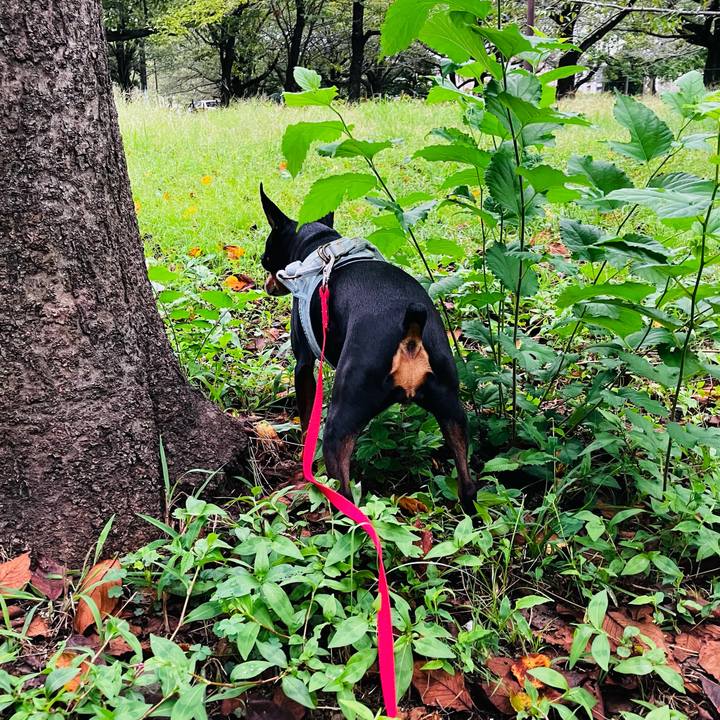 B0841a5b 86c5 4835 82f1 0f97c22f3272 1760312645830