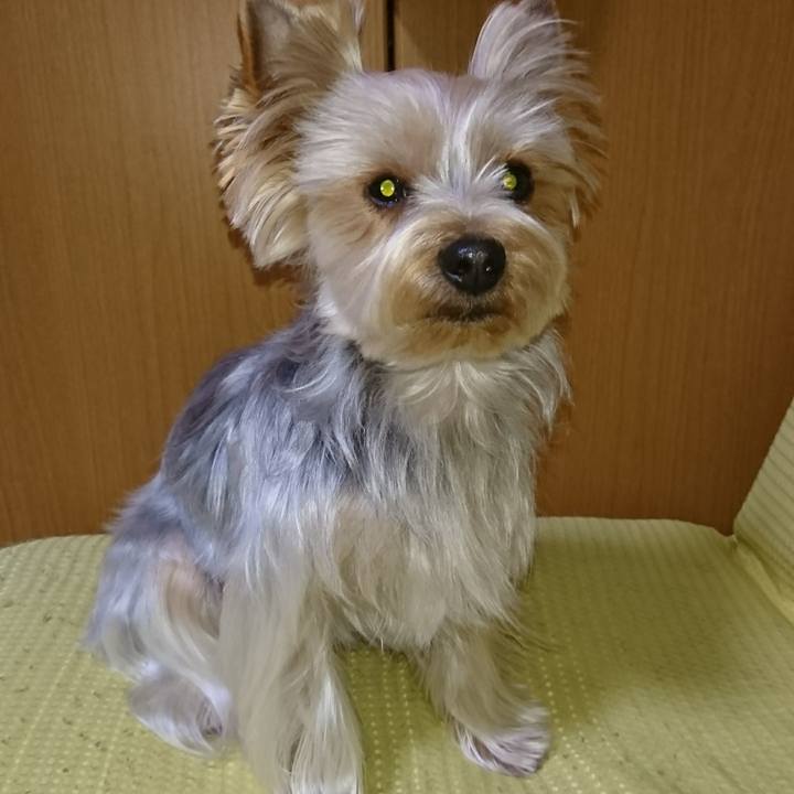 B0846816 a7cb 4c4b 8d1e 4943e4cb0bc0 1519304345248