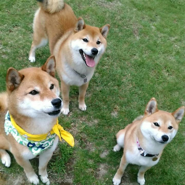 B0847d69 3839 4bde 9865 d117ae53af94 1562418577162