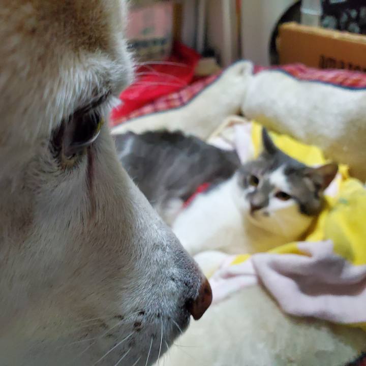 B0848353 c0c1 49d2 88ba dd792afaa6d6 1678770037208