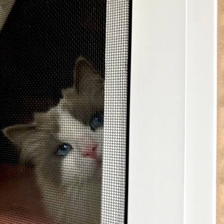 B084b2e1 606e 43d9 8ef6 2c2ecfe0f7d8 1618739026652