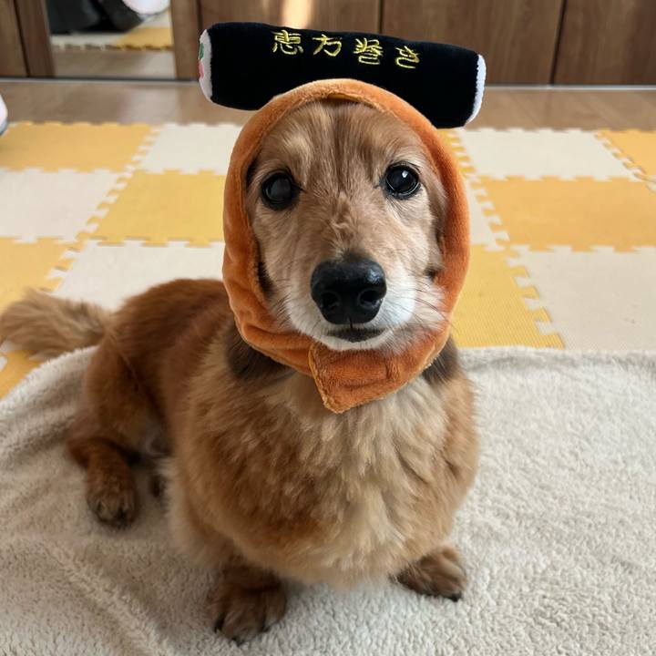 B084b82e 3385 44d9 abf7 25343fe4a7d8 1643884715188