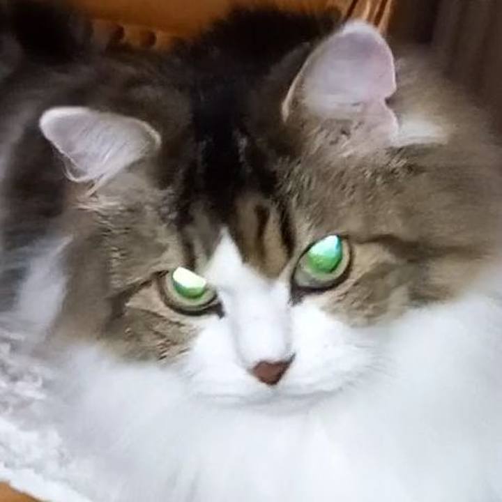 B084bff5 f700 4b5c 8300 046181e8bb27 1666044212497