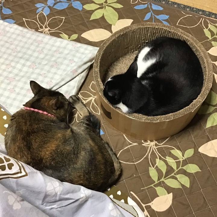 B084cdcc 8747 4dbc bdb9 01908d1935cf 1732612160266