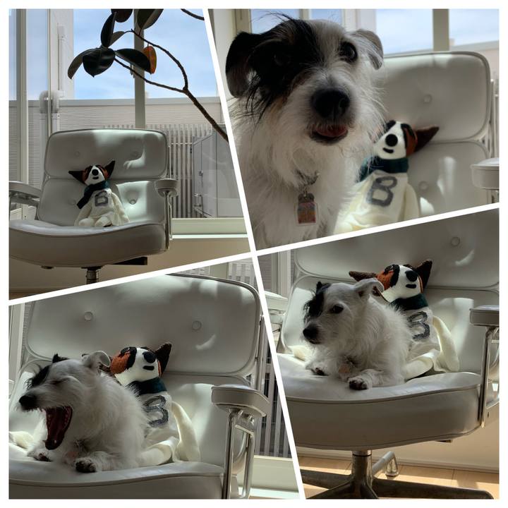 B084d092 8ec4 489d 90cf 747c522b3661 1652151092264