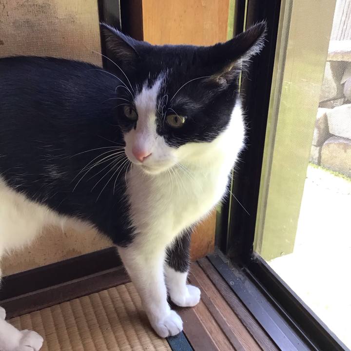 B084fe53 8387 4544 beb6 580de9d3410b 1714723618588