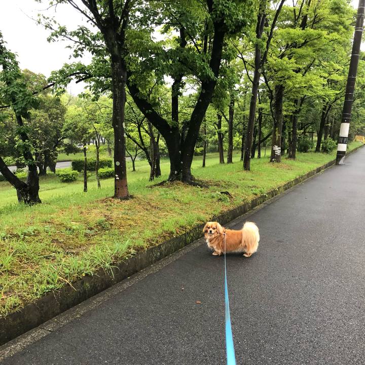 B08546f7 9225 4a36 be95 8c835fb9e7b7 1559943076539