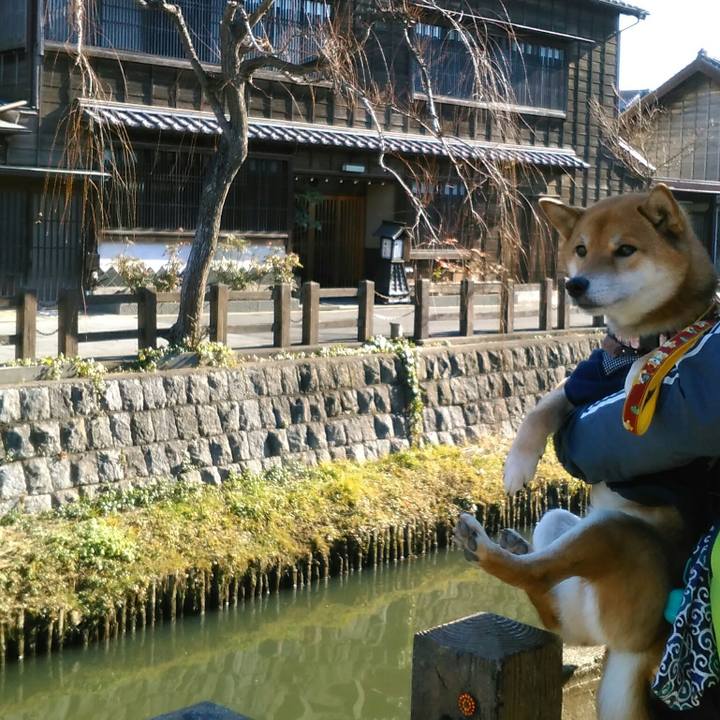 B0854bb3 5356 40c7 ba1d 775b043cc75a 1515820741374