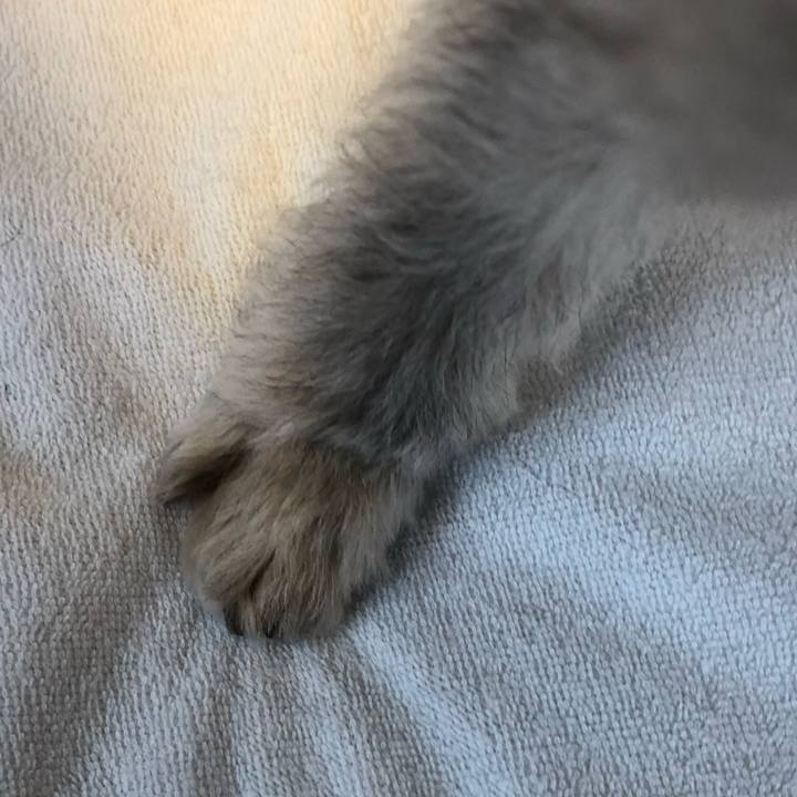 B0855212 1c93 4048 9992 8269091dd3a3 1604620935110