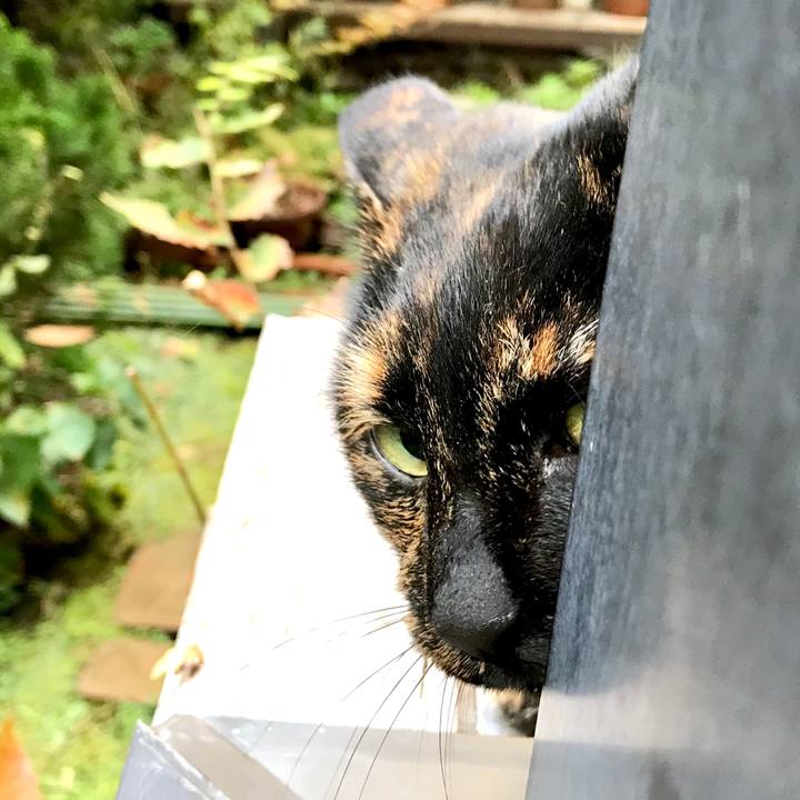 B085ac0e ed83 422d b6ac db5c413a63d2 1511491338126