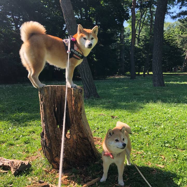 B085b948 5985 44b1 a59e 6b2c4eefd397 1561511321370