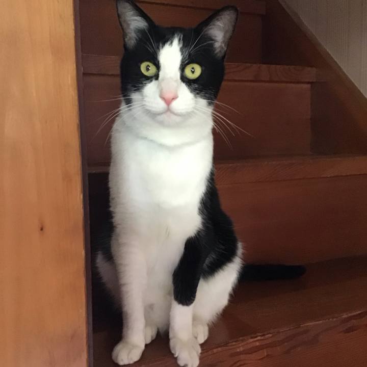 B085da14 3469 4ee8 a750 7f58f3c61689 1719035814415