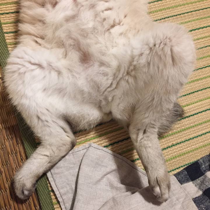 B085fd47 5fcb 4711 8424 14d9cfa4006c 1561634521727