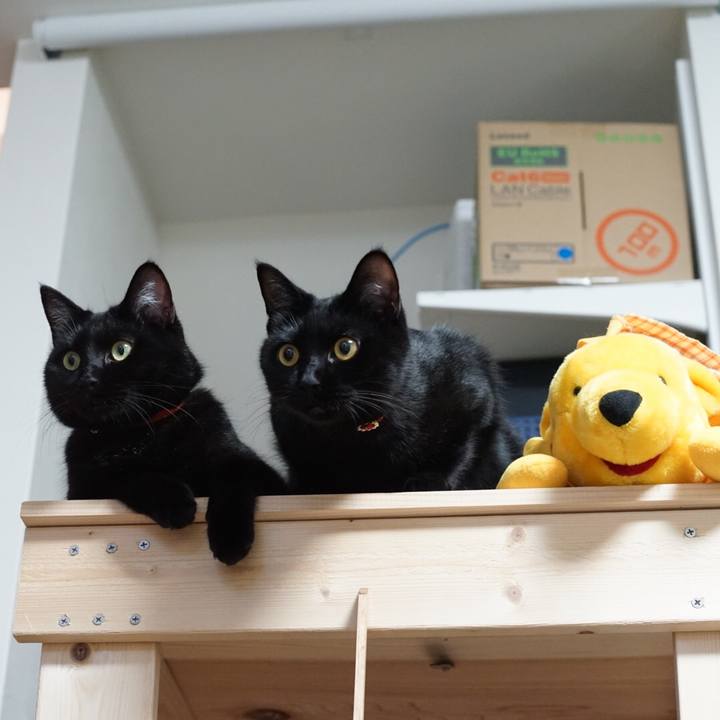 B0861642 4187 42ea a266 23b15e6099bb 1530422186410