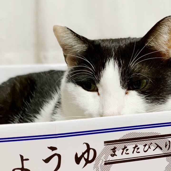 B0866567 c5f3 4076 8faf 888158753f14 1541213818945