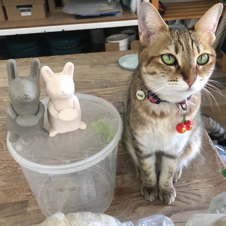 B08665c2 ad8d 44a2 bbfd 3a83ba553c0e 1668070914953