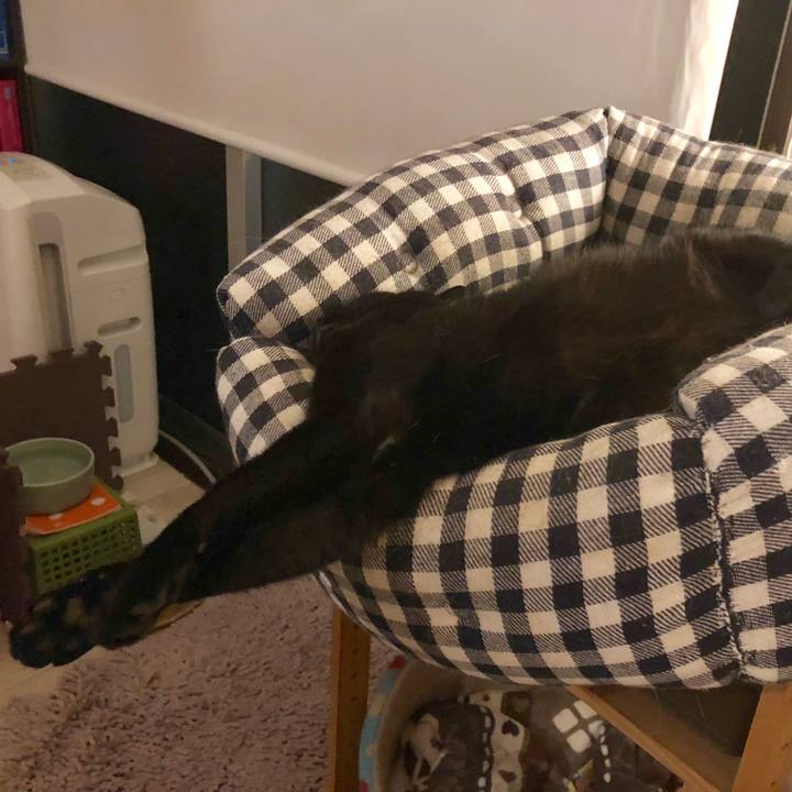 B08674ae 85a7 4e63 8ee0 aa9673de1e4e 1533039426980