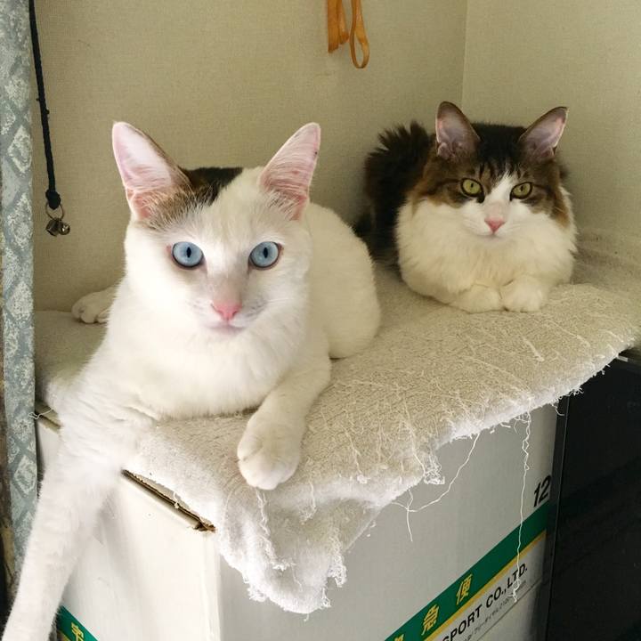 B0869989 c132 4218 8f00 a1fda277acb4 1530836339990