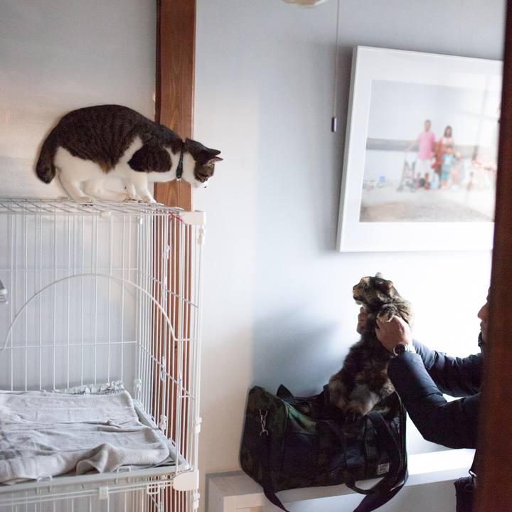 B086ffb4 bda8 4d80 90fc 209abdb365a2 1576244701060