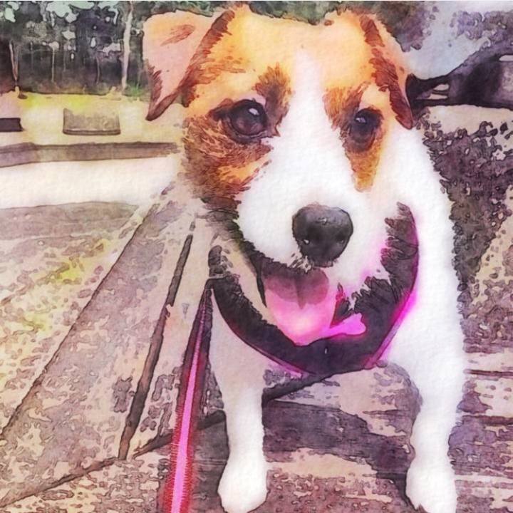 B08750a9 26f6 444e b52c e8f82eae0ff9 1523351465148