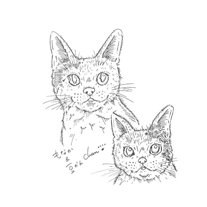 B08757ba fd9d 41cc 88a0 c0022a607c1f 1582036499344