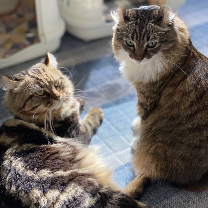 B087647c dffe 4af7 a793 08594ac6c1a8 1604848170195