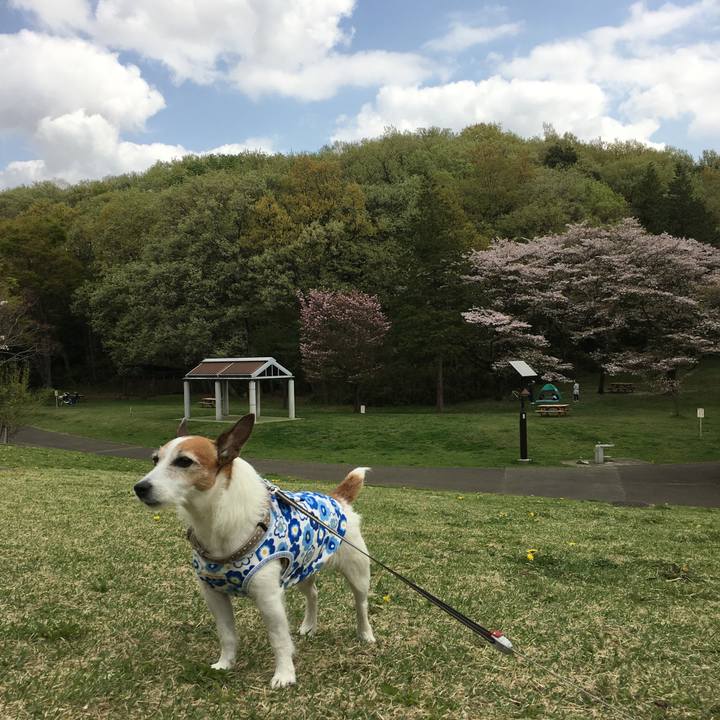 B087854c f3be 40e7 94c1 74fa01c54e4c 1617494436424